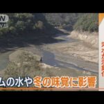 西日本中心に渇水が深刻化　ダムや冬の味覚に影響　みかん農家から困惑の声も…(2023年11月22日)