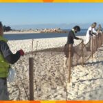 冬の訪れ告げる『防砂ネット』設置　砂の粒子が細かくサラサラ、周辺道路への飛散防ぐ　白良浜海水浴場