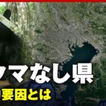 【クマなし県】「縄文時代から記録なし」本州唯一”クマがいない”地理的要因｜ABEMA的ニュースショー