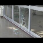 イノシシが高校に侵入　窓ガラス突き破る　仙台市(2023年11月23日)
