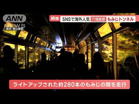 紅葉見頃…京都の名所に外国人観光客が殺到　嵐山では車道に人あふれ“ホコ天状態”【羽鳥慎一 モーニングショー】(2023年11月23日)