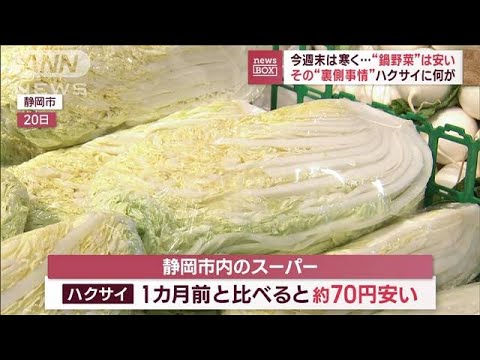 今週末は寒く…“鍋野菜”は安い　その“裏側事情”ハクサイに何が(2023年11月23日)