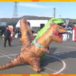 地上最強の恐竜・ティラノサウルスたちの尻相撲大会「めっちゃしんどかった」滋賀県内外から24頭参加