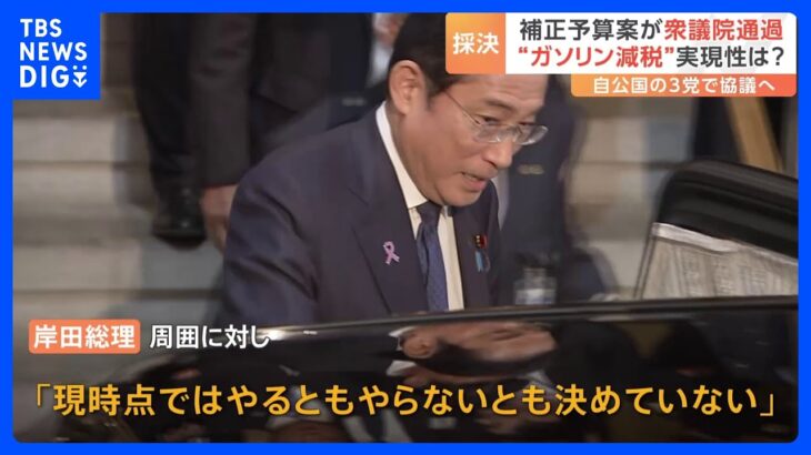 今年度補正予算案が衆議院通過 国民民主党が賛成 “ガソリン減税”実現性は？自民、公明、国民民主の3党で協議へ｜TBS NEWS DIG