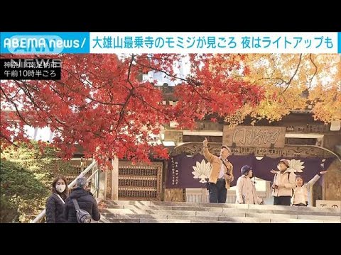 “紅葉の穴場”大雄山最乗寺で秋の訪れ　神奈川・南足柄市(2023年11月24日)