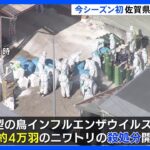 今季初の鳥インフルエンザ確認　佐賀県の養鶏場で4万羽殺処分開始｜TBS NEWS DIG