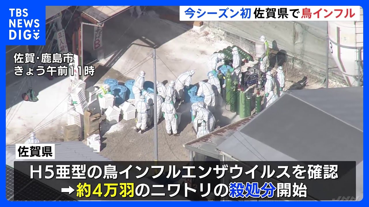 今季初の鳥インフルエンザ確認 佐賀県の養鶏場で4万羽殺処分開始|TBS NEWS DIG