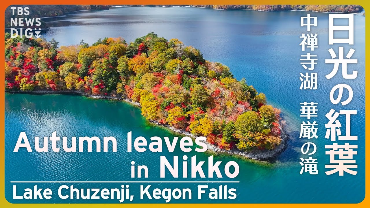 【絶景】日光 中禅寺湖 湖畔に映る紅葉 上空から眺めるモザイク柄 / Lake Chuzenji  in Nikko, Spectaclular view of Autumn leaves