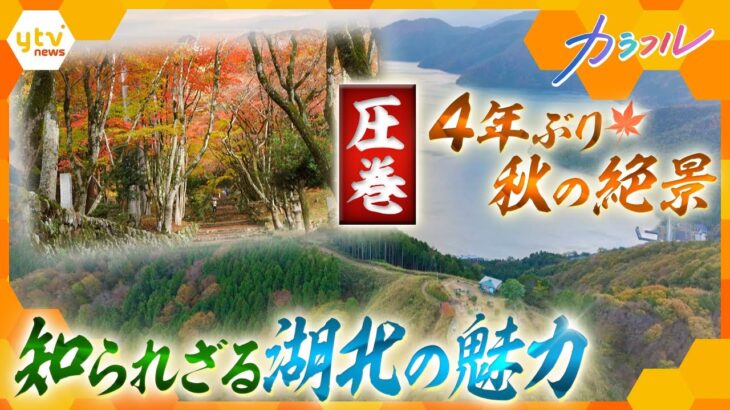 魅力満載！絶景の紅葉スポットに絶品グルメ　滋賀・湖北の秋をめぐる