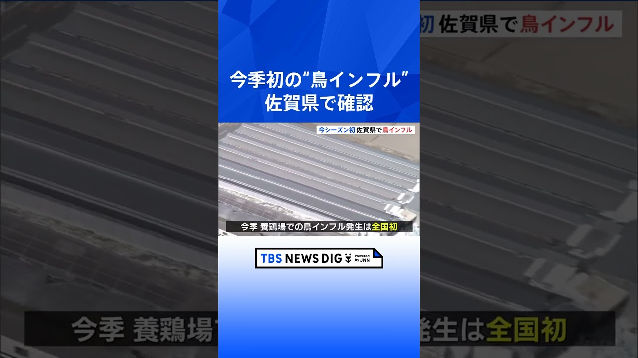 今季初の鳥インフルエンザ確認 佐賀県の養鶏場で4万羽殺処分開始|TBS NEWS DIG #shorts