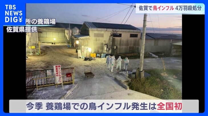 今季初の鳥インフルエンザを佐賀県で確認　昨シーズンは卵の価格高騰など生活に影響｜TBS NEWS DIG