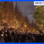 「すごく綺麗」「迫力がある」神宮外苑のイチョウ並木　ライトアップ始まる｜TBS NEWS DIG