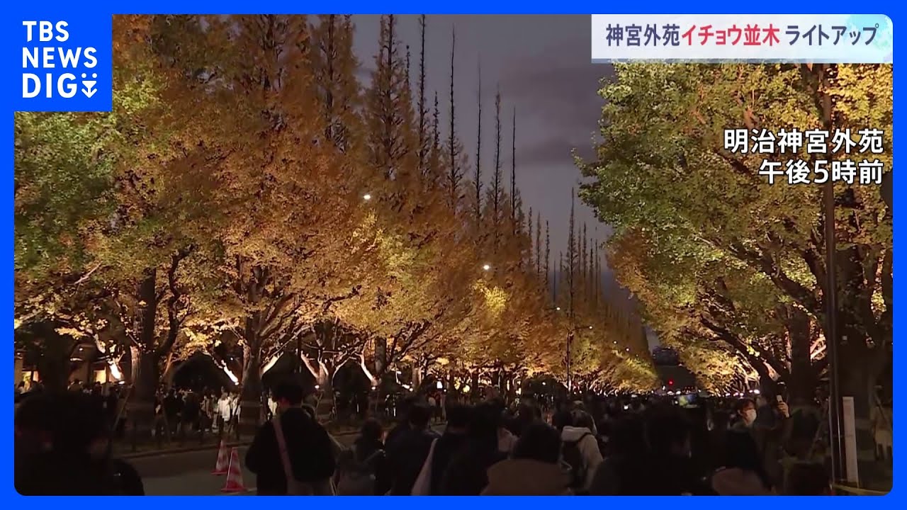 「すごく綺麗」「迫力がある」神宮外苑のイチョウ並木 ライトアップ始まる|TBS NEWS DIG
