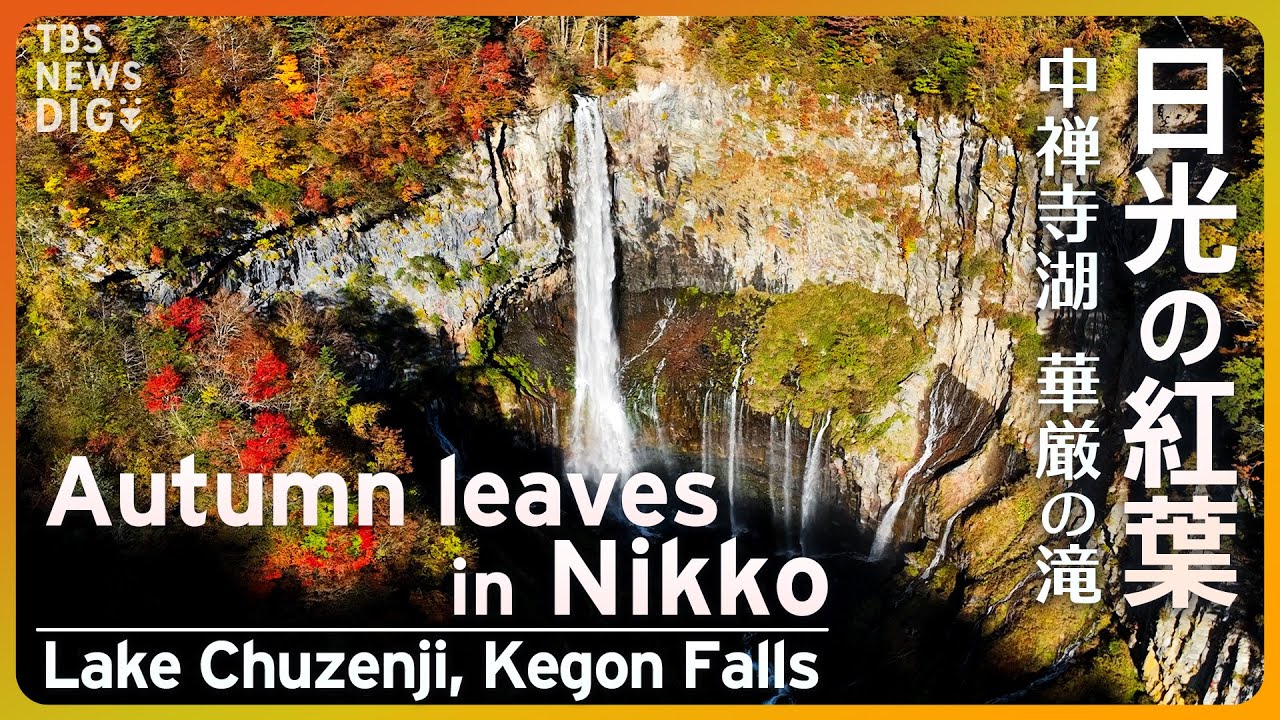 【絶景】日光 中禅寺湖 湖畔に映る紅葉 上空から眺めるモザイク柄 / Lake Chuzenji  in Nikko, Spectaclular view of Autumn leaves