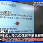 佐賀・鹿島 今季初の鳥インフル 野生カラスの死骸でも陽性を確認　｜TBS NEWS DIG