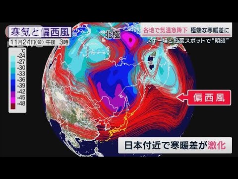 寒暖差で“明暗” スキー場は「雪不足」紅葉は「例年より発色良好」なぜ？(2023年11月25日)