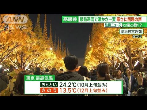 見頃イチョウ並木 寒さにブルッ 「疲れ」取れない…気温急降下で“寒暖差疲労”(2023年11月26日)