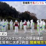 【鳥インフルエンザ】茨城県笠間市で鳥インフルエンザ発生　午前9時から飼育されているニワトリ 約7万2000羽の殺処分開始｜TBS NEWS DIG