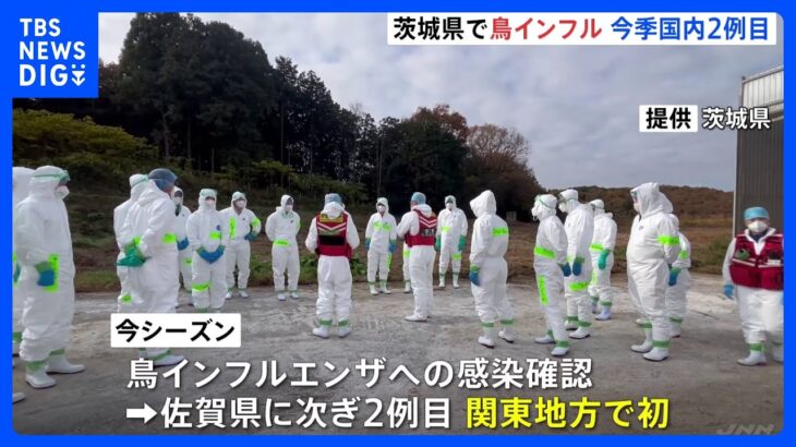 【鳥インフルエンザ】茨城県笠間市で鳥インフルエンザ発生　午前9時から飼育されているニワトリ 約7万2000羽の殺処分開始｜TBS NEWS DIG