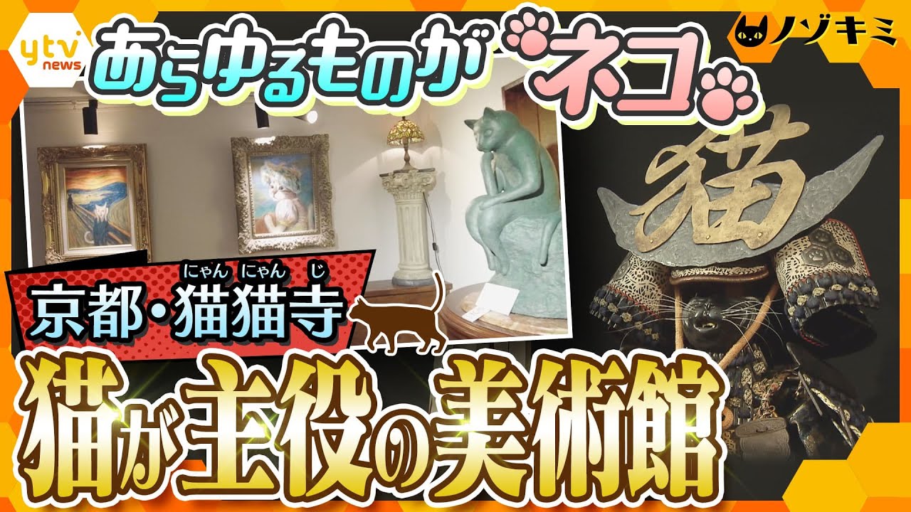 猫好きには“たまらにゃい”  🐈猫にこだわる創作一家の日々にカメラが密着！