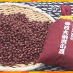 濃厚な甘み「丹波大納言小豆」収穫が最盛期　収穫量は例年より少ない見込みも上々の出来　兵庫・丹波市