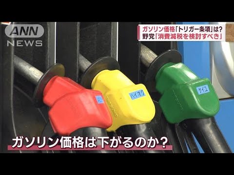 【国会論戦】ガソリン価格「トリガー条項」は？　野党「消費減税を検討すべき」(2023年11月28日)