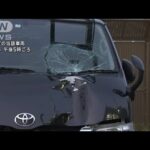 女子大学生“ひき逃げ”され死亡　飲酒して運転か…23歳男を逮捕(2023年11月29日)