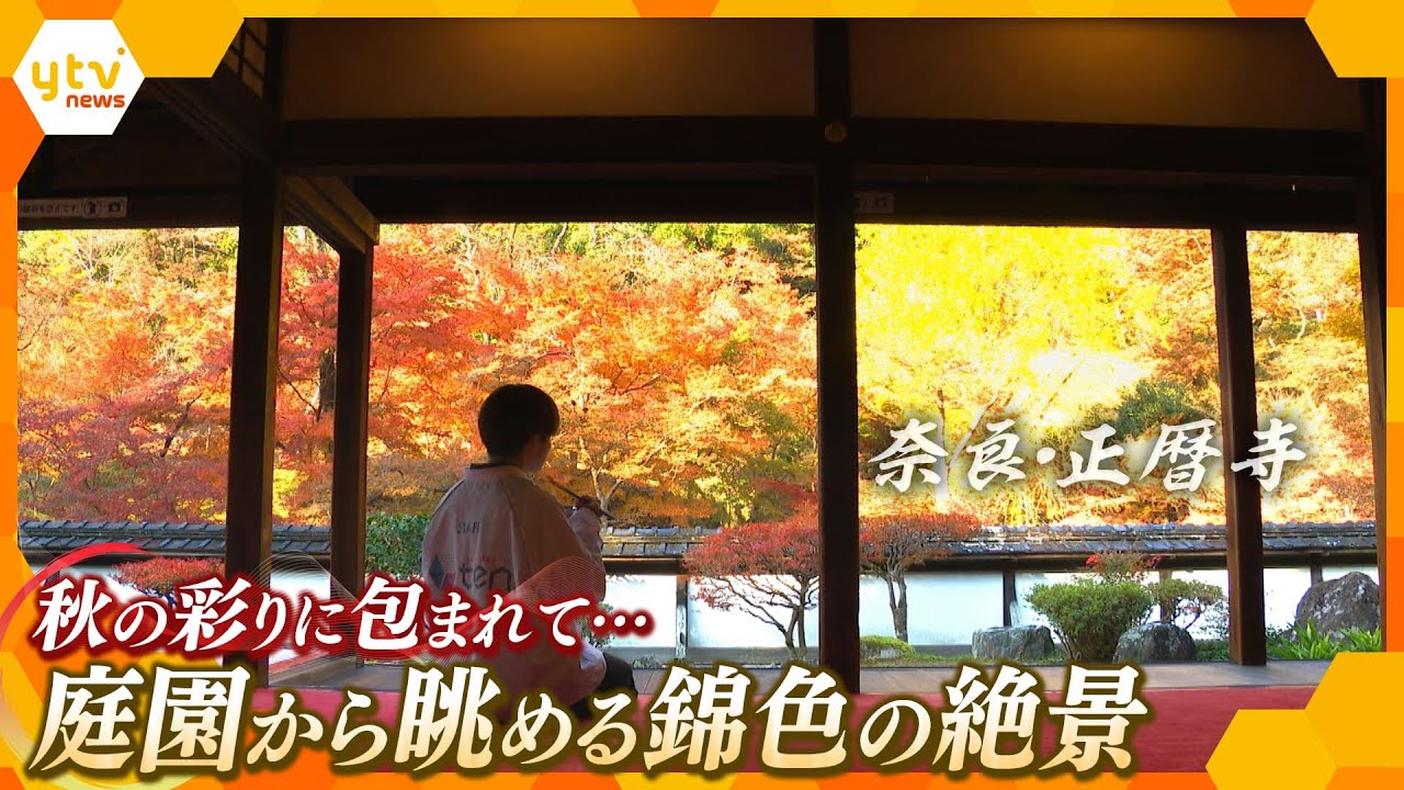 日本清酒発祥の地・正歴寺 別名「錦の里」で味わう、赤・黄・緑、季節限定の“色のマリアージュ”【かんさい情報ネット ten.特集】