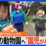 離島の保育園児　はじめての観覧車＆動物園に大興奮「遊園地っ！遊園地っ！」お金はみんなの“アルバイト代”で【ゲキ推しさん】｜TBS NEWS DIG