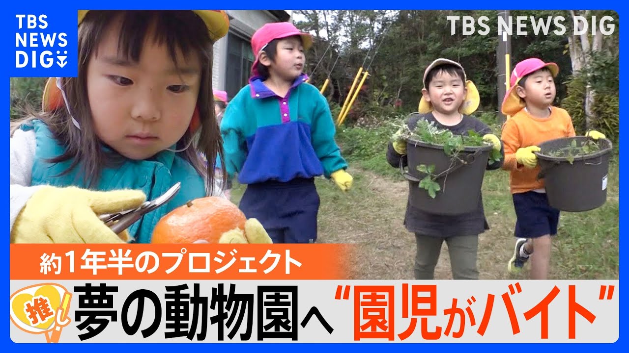 離島の保育園児 はじめての観覧車&動物園に大興奮「遊園地っ!遊園地っ!」お金はみんなの“アルバイト代”で【ゲキ推しさん】|TBS NEWS DIG