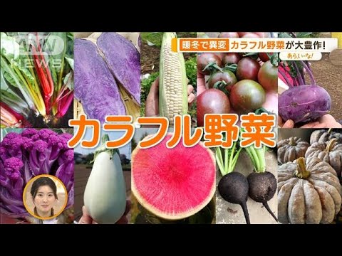 “黒い大根”“赤いトウモロコシ”…見た目も味も楽しい！カラフル野菜【あらいーな】(2023年11月30日)