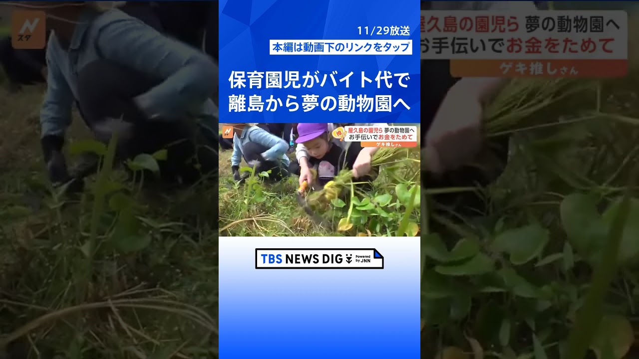 離島の保育園児 はじめての観覧車&動物園に大興奮「遊園地っ!遊園地っ!」お金はみんなの“アルバイト代”で【ゲキ推しさん】|TBS NEWS DIG #shorts