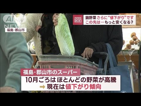 鍋野菜さらに“値下がり”　この先は…もっと安くなる？(2023年11月30日)