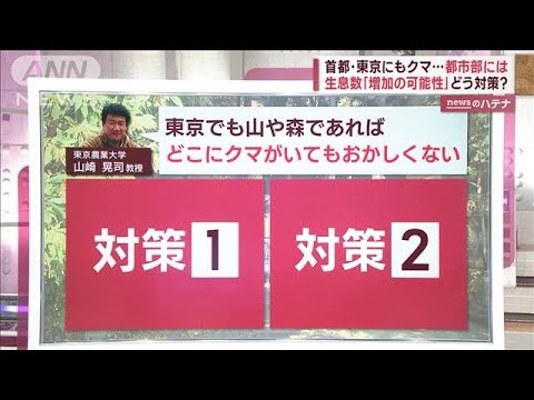 東京にもクマ…都市部には？　特に注意が必要なエリアで生息数「増加の可能性」(2023年11月30日)