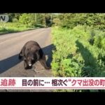 “クマ出没の町”相次ぐ　目の前に遭遇…「8頭同時侵入」も　カメラが捉えた一部始終【Jの追跡】(2023年11月4日)