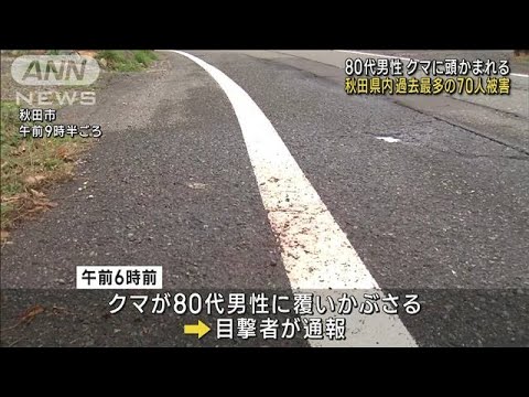 80代男性クマに襲われけが　頭かまれ出血　過去最多の70人被害　秋田(2023年11月22日)