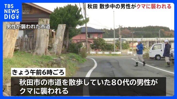 【クマが住宅街に】散歩中の80代男性、クマに頭をかまれる　意識あり　秋田市の住宅街｜TBS NEWS DIG