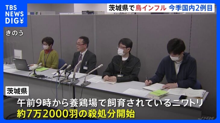 茨城県笠間市で鳥インフルエンザ発生　午前9時から飼育されているニワトリ 約7万2000羽の殺処分開始｜TBS NEWS DIG