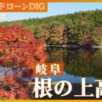 高原の湖面に映える紅葉　岐阜・根の上高原【JNN 紅葉ドローンDIG 2023】| TBS NEWS DIG
