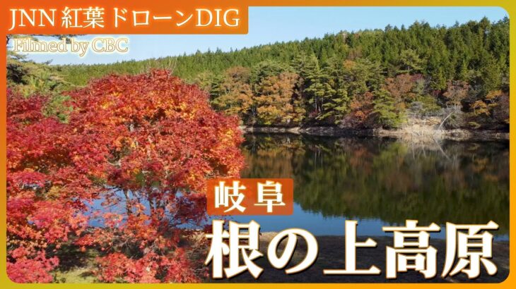 高原の湖面に映える紅葉　岐阜・根の上高原【JNN 紅葉ドローンDIG 2023】| TBS NEWS DIG