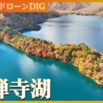 秋の恋の始まり　日光　中禅寺湖【JNN 紅葉ドローンDIG 2023】| TBS NEWS DIG