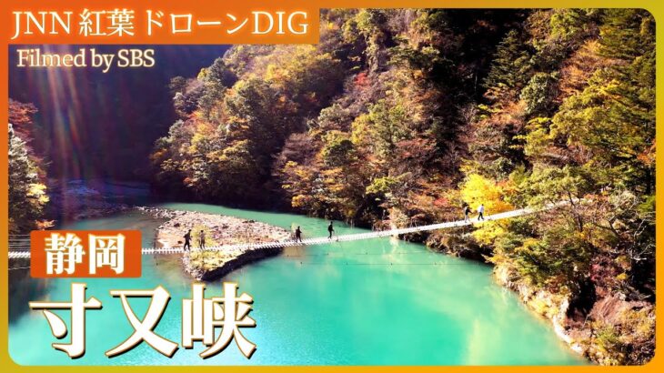 「夢のつり橋と紅葉 静岡県・寸又峡」【JNN 紅葉ドローンDIG 2023】| TBS NEWS DIG