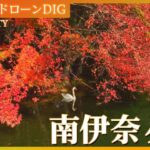 山梨　上から見た南伊奈ヶ湖の紅葉【JNN 紅葉ドローンDIG 2023】| TBS NEWS DIG