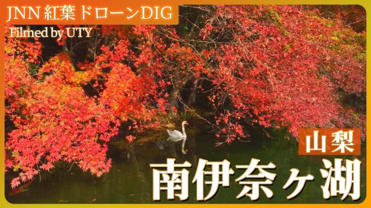 山梨　上から見た南伊奈ヶ湖の紅葉【JNN 紅葉ドローンDIG 2023】| TBS NEWS DIG