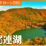 山梨　上から見た四尾連湖の紅葉【JNN 紅葉ドローンDIG 2023】| TBS NEWS DIG