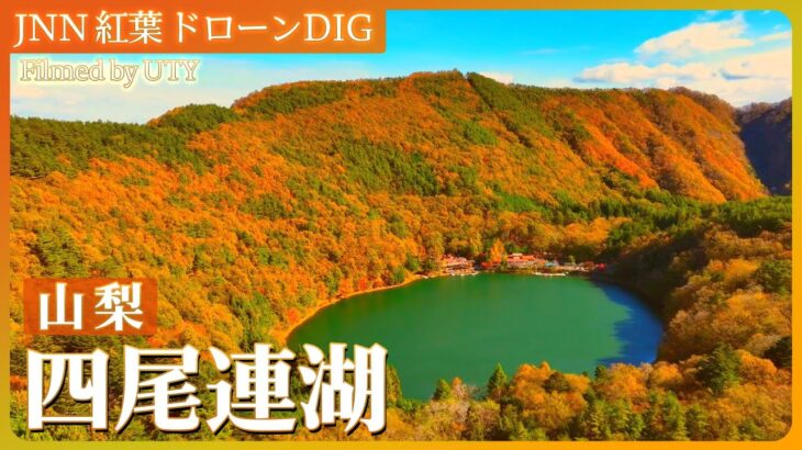 山梨　上から見た四尾連湖の紅葉【JNN 紅葉ドローンDIG 2023】| TBS NEWS DIG