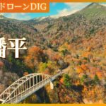 【岩手空中散歩】八幡平の紅葉【JNN 紅葉ドローンDIG】| TBS NEWS DIG