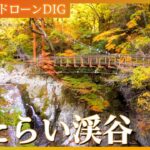 【４K】関西屈指の谷　みたらい渓谷【JNN 紅葉ドローンDIG 2023】| TBS NEWS DIG