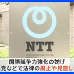 NTT法の廃止・見直しをめぐり楽天三木谷社長「最悪の愚策」NTT側もSNS上で反論「ナンセンス」｜TBS NEWS DIG