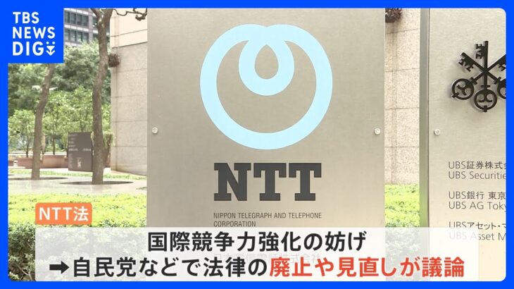 NTT法の廃止・見直しをめぐり楽天三木谷社長「最悪の愚策」NTT側もSNS上で反論「ナンセンス」｜TBS NEWS DIG